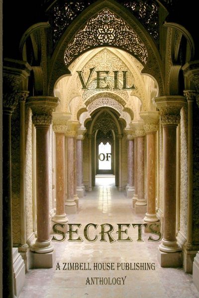 Produktbild: Veil of Secrets