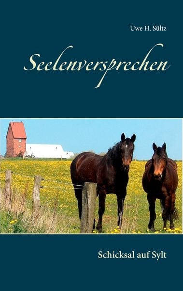 Seelenversprechen, Taschenbuch von Uwe H. Sültz, BoD – Books on Demand, 9783739228105