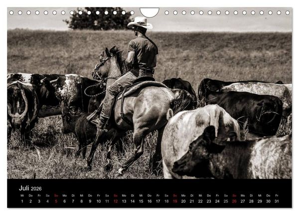 Produktbild: Westernreiten (Wandkalender 2026 DIN A4 quer), CALVENDO Monatskalender