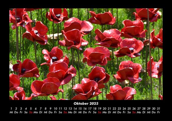 Produktbild: Blumenkalender 2025 Fotokalender DIN A3
