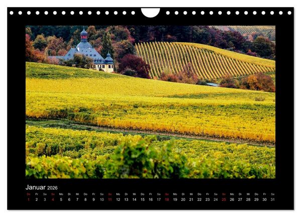 Produktbild: Wein - Reben, Wingerte und historische Weinkeller (Wandkalender 2026 DIN A4 quer), CALVENDO Monatskalender