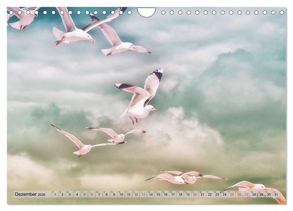 Produktbild: AMRUM Art (Wandkalender 2026 DIN A4 quer), CALVENDO Monatskalender