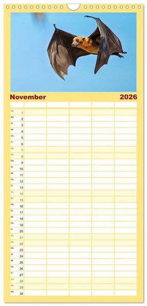 Produktbild: Familienplaner 2026 - Flughunde - Meister der Nacht mit 5 Spalten (Wandkalender, 21 x 45 cm) CALVENDO