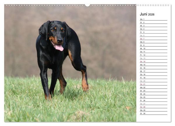 Produktbild: Der Brandlbracken-Terminplaner (hochwertiger Premium Wandkalender 2026 DIN A2 quer), Kunstdruck in Hochglanz
