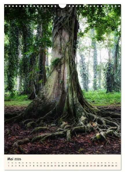 Produktbild: Weltreise Natur - Impressionen rund um den Globus (Wandkalender 2026 DIN A3 hoch), CALVENDO Monatskalender