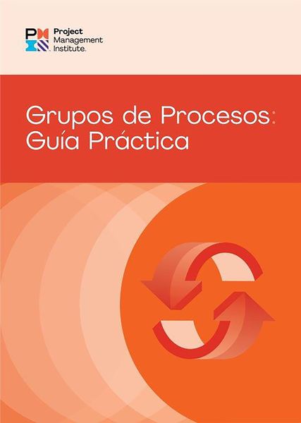 Produktbild: Process Groups: A Practice Guide (SPANISH)