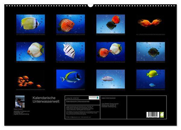 Produktbild: Kalendarische Unterwasserwelt (Wandkalender 2026 DIN A2 quer), CALVENDO Monatskalender