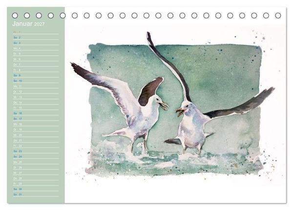Produktbild: M&ouml;wen - Aquarelle von Julia Pasinski (Tischkalender 2027 DIN A5 quer), CALVENDO Monatskalender