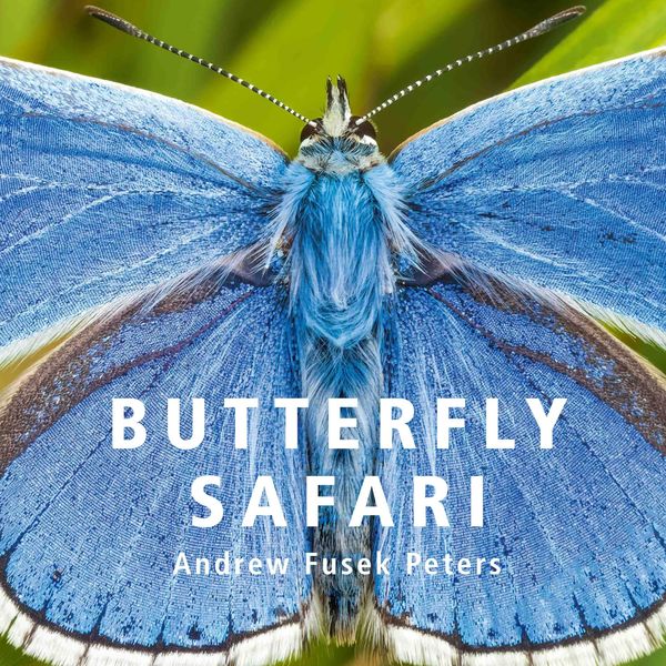 Produktbild: Butterfly Safari