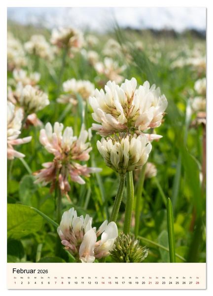Produktbild: Wild und W&uuml;rzig - Kr&auml;utersch&auml;tze aus der Heide (Wandkalender 2026 DIN A3 hoch), CALVENDO Monatskalender