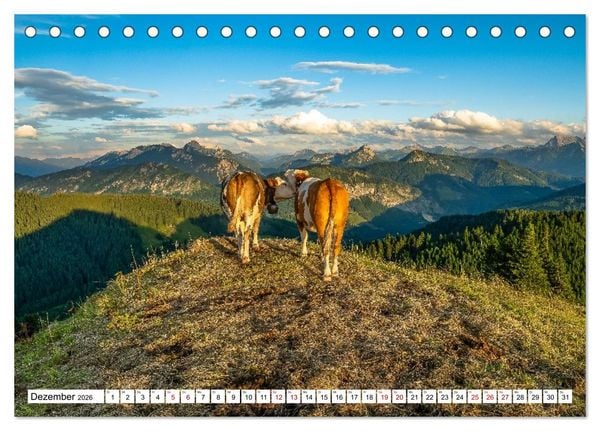 Produktbild: Kuhle Typen (Tischkalender 2026 DIN A5 quer), CALVENDO Monatskalender