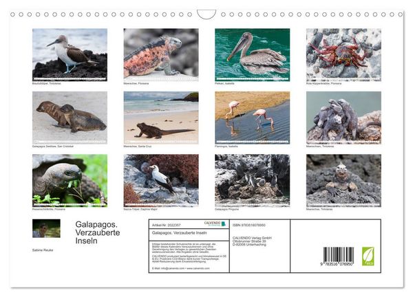 Produktbild: Galapagos. Verzauberte Inseln (Wandkalender 2026 DIN A3 quer), CALVENDO Monatskalender
