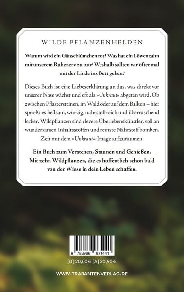 Produktbild: Wilde Helden