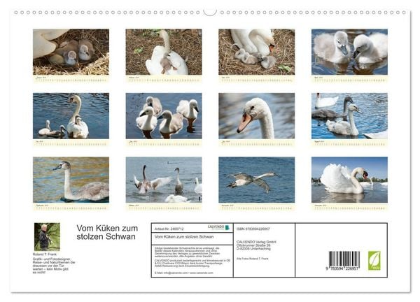 Produktbild: Vom K&uuml;ken zum stolzen Schwan (hochwertiger Premium Wandkalender 2027 DIN A2 quer), Kunstdruck in Hochglanz