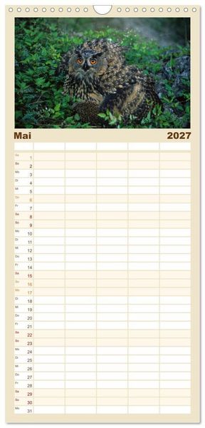 Produktbild: Familienplaner 2027 - Heimische Eulen und Greife mit 5 Spalten (Wandkalender, 21 x 45 cm) CALVENDO