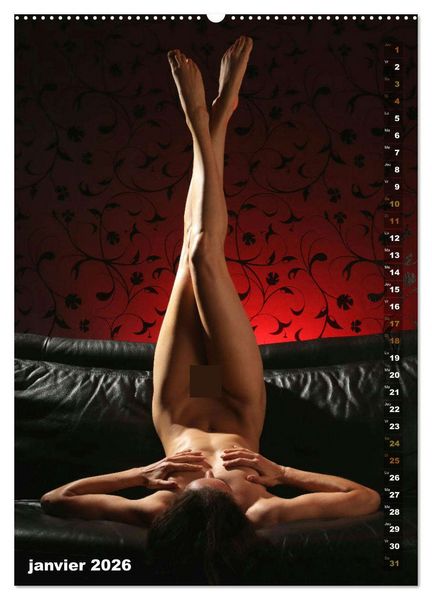 Produktbild: Le canap&eacute; (Calendrier mural 2026 DIN A2 horizontal) calendrier de bureau