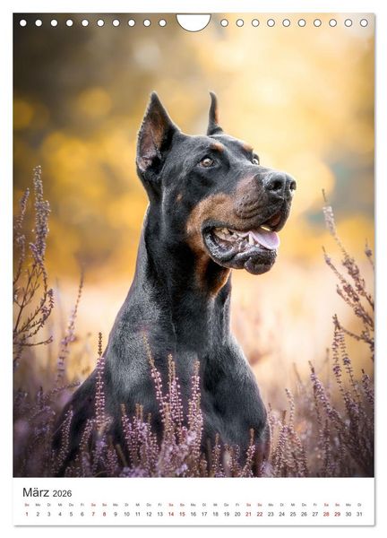 Produktbild: Hunde - Unsere treuen Wegbegleiter. (Wandkalender 2026 DIN A4 hoch), CALVENDO Monatskalender