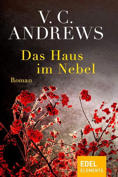 Produktbild: Das Haus im Nebel