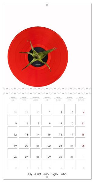 Produktbild: Vinyl in focus (Wall Calendar 2027 12 &times; 12 Inch) CALVENDO 12 Month Wall Calendar