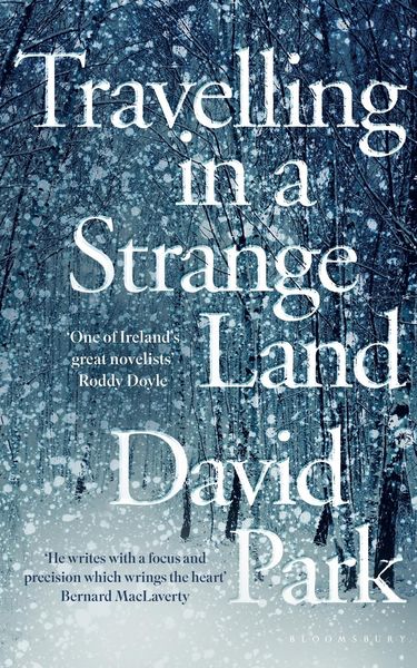 Produktbild: Travelling in a Strange Land