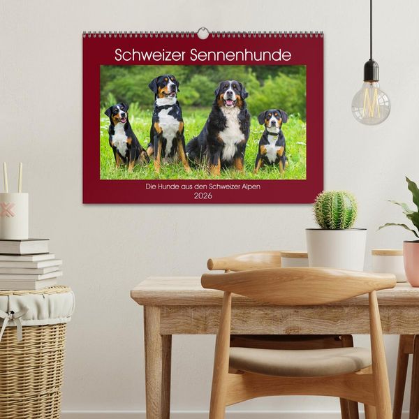 Produktbild: Schweizer Sennenhunde - die Hunde aus den Schweizer Alpen (Wandkalender 2026 DIN A3 quer), CALVENDO Monatskalender