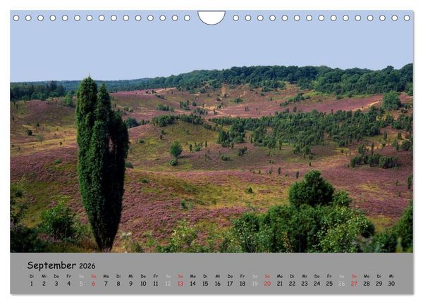 Produktbild: L&uuml;neburger Heide - sch&ouml;n zu jeder Jahreszeit (Wandkalender 2026 DIN A4 quer), CALVENDO Monatskalender