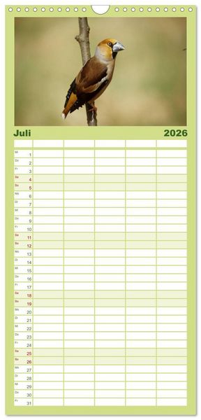 Produktbild: Familienplaner 2026 - Die farbenfrohe Welt der Finken mit 5 Spalten (Wandkalender, 21 x 45 cm) CALVENDO