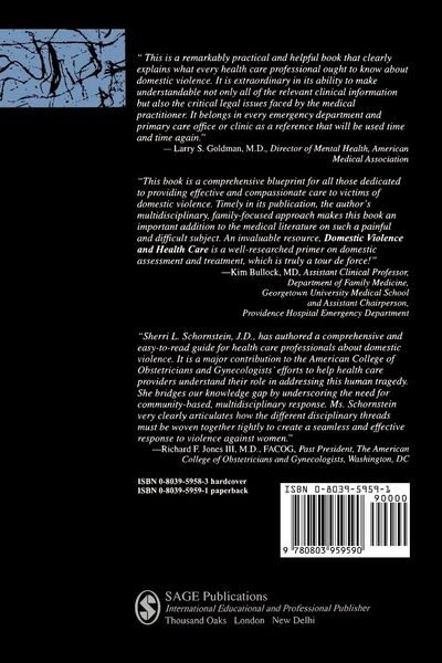 Produktbild: Domestic Violence and Health Care