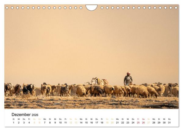 Produktbild: Jordanien - Land zwischen Antike und Moderne (Wandkalender 2026 DIN A4 quer), CALVENDO Monatskalender