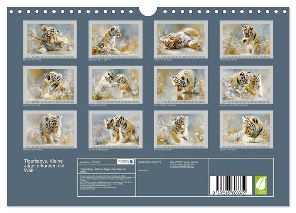 Produktbild: Tigerbabys. Kleine J&auml;ger erkunden die Welt (Wandkalender 2027 DIN A4 quer), CALVENDO Monatskalender