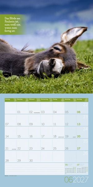 Produktbild: Keep Smiling Kalender 2027 - 30x30 - Art12