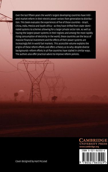 Produktbild: The Political Economy of Power Sector Reform