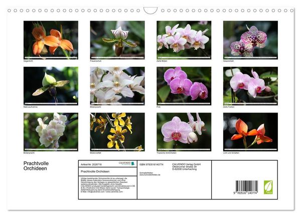 Produktbild: Prachtvolle Orchideen (Wandkalender 2026 DIN A3 quer), CALVENDO Monatskalender