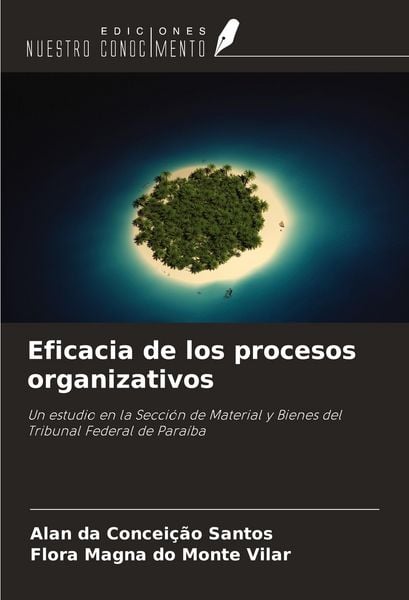 Produktbild: Eficacia de los procesos organizativos