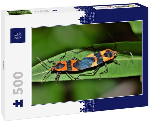 Lais Puzzle Käfer 500 Teile