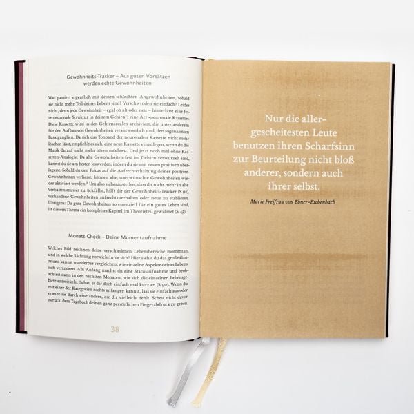 Produktbild: Das 6-Minuten-Tagebuch (rubin)