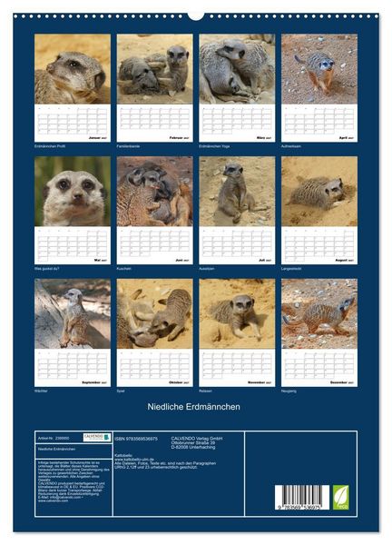 Produktbild: Niedliche Erdm&auml;nnchen (Wandkalender 2027 DIN A2 hoch), CALVENDO Monatskalender
