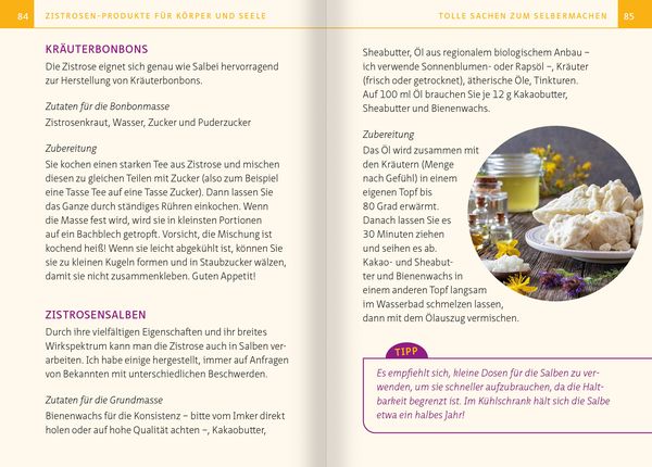 Produktbild: Zistrose. Kompakt-Ratgeber