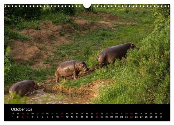 Produktbild: S&uuml;dafrika (Wandkalender 2026 DIN A3 quer), CALVENDO Monatskalender