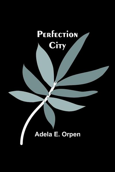 Produktbild: Perfection City