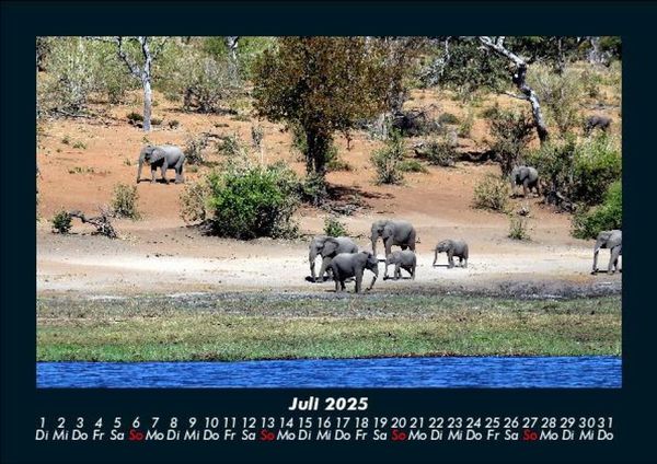 Produktbild: Der Elefantenkalender 2025 Fotokalender DIN A5