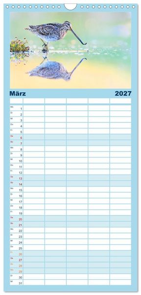 Produktbild: Familienplaner 2027 - Limikolen - Watv&ouml;gel aus Europa mit 5 Spalten (Wandkalender, 21 x 45 cm) CALVENDO