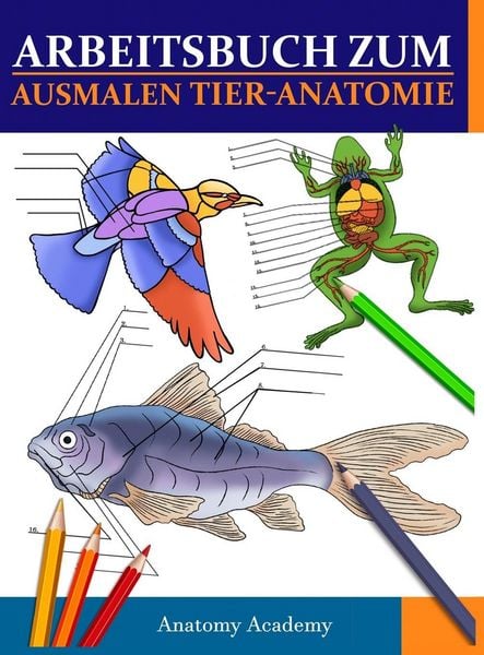 Produktbild: Arbeitsbuch Zum Ausmalen Tier-Anatomie