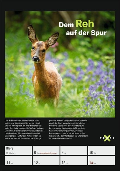 Produktbild: Terra X &ndash; Das Wunder Erde Wochenplaner 2027