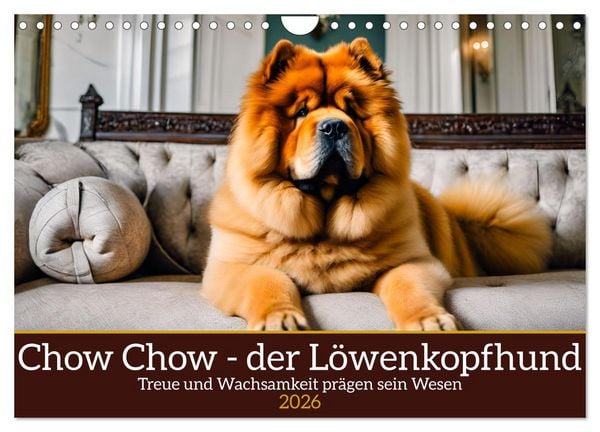 Produktbild: Chow Chow - der L&ouml;wenkopfhund (Wandkalender 2026 DIN A4 quer), CALVENDO Monatskalender