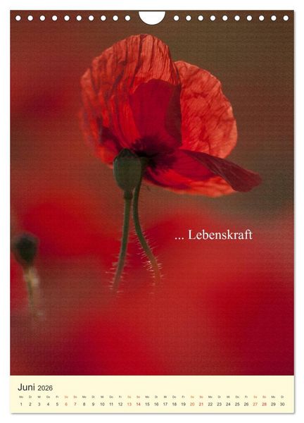Produktbild: flowers (Wandkalender 2026 DIN A4 hoch), CALVENDO Monatskalender