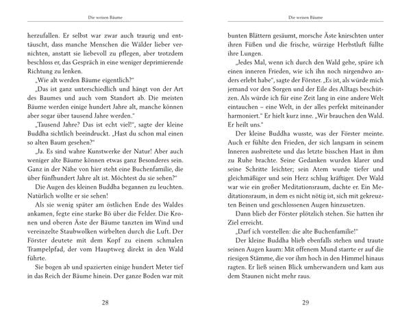 Produktbild: Der kleine Buddha und das Wunder der Zeit