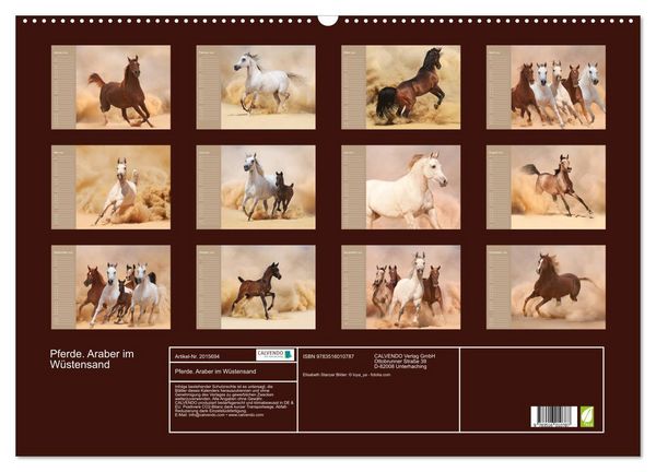 Produktbild: Pferde. Araber im W&uuml;stensand (Wandkalender 2026 DIN A2 quer), CALVENDO Monatskalender