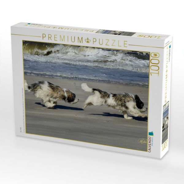 Produktbild: CALVENDO Puzzle Der PON | 1000 Teile Lege-Gr&ouml;&szlig;e 64x48cm Foto-Puzzle f&uuml;r gl&uuml;ckliche Stunden