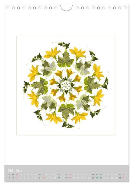 Produktbild: Pflanzen - Mandalas aus Bl&uuml;ten und Bl&auml;ttern (Wandkalender 2026 DIN A4 hoch), CALVENDO Monatskalender